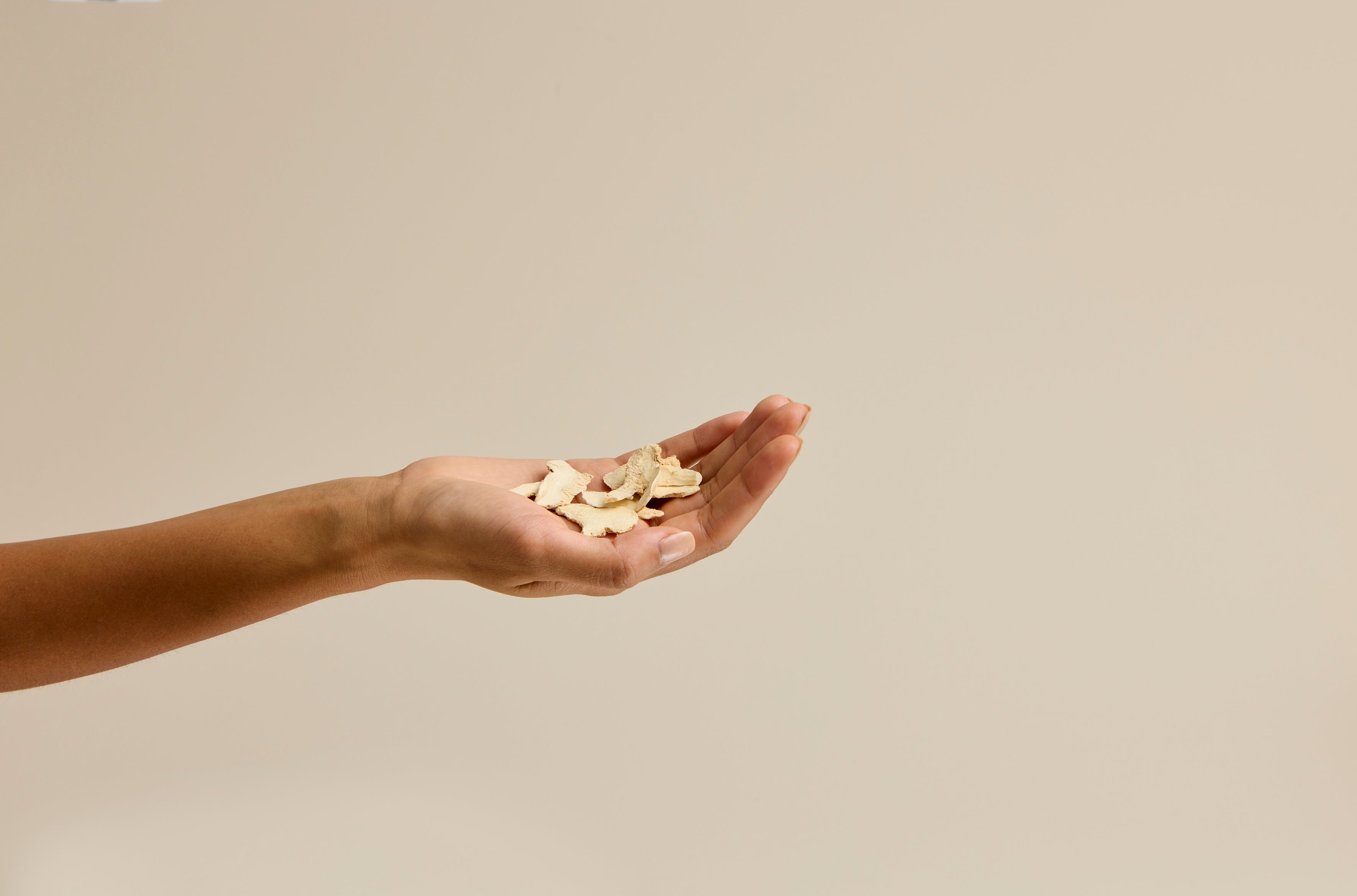 hand holding herbal ingredient